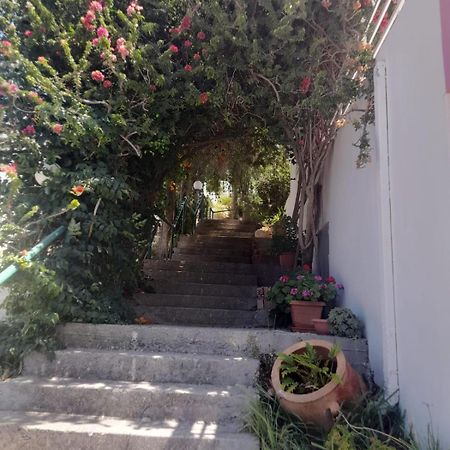 דירות פלאקיאס Camelia מראה חיצוני תמונה