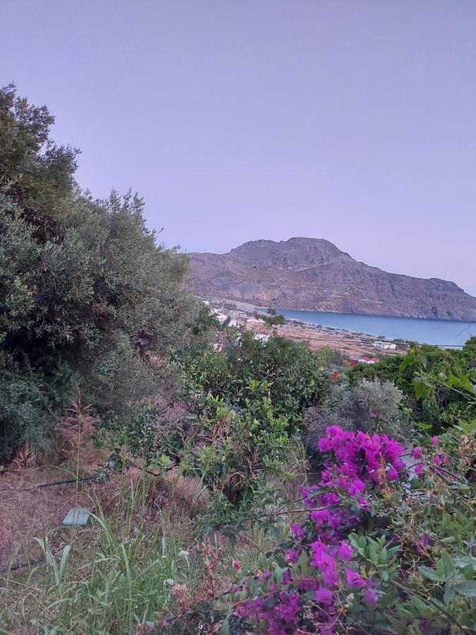 דירות פלאקיאס Camelia מראה חיצוני תמונה