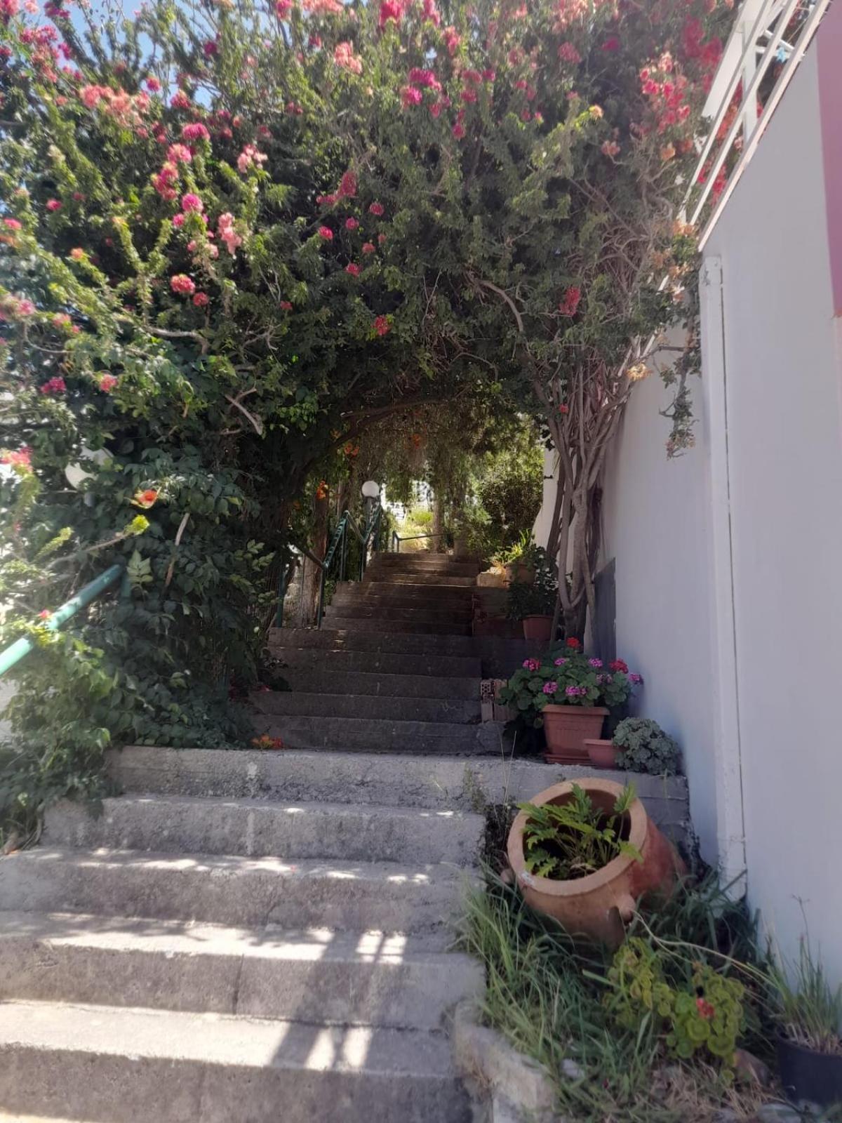 דירות פלאקיאס Camelia מראה חיצוני תמונה